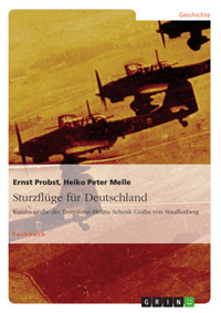 Sturzflüge für Deutschland - Ernst Probst - E-Book