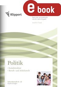 Sozialstruktur - Berufs- und Arbeitswelt - Joachim Traub - E-Book