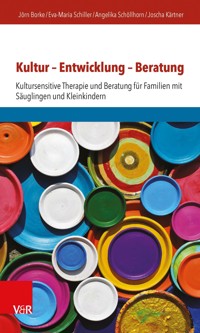 Kultur – Entwicklung – Beratung - Jörn Borke - E-Book