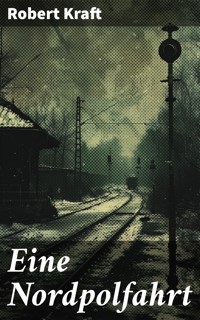 Eine Nordpolfahrt - Robert Kraft - E-Book