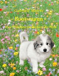 Bootsmann - Gabriele Meerts - E-Book