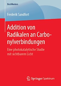 Addition von Radikalen an Carbonylverbindungen - Frederik Sandfort - E-Book