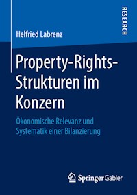 Property-Rights-Strukturen im Konzern - Helfried Labrenz - E-Book