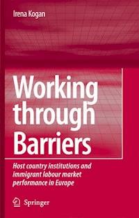 Working Through Barriers - Irena Kogan - E-Book