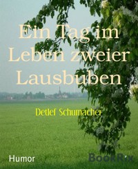Ein Tag im Leben zweier Lausbuben - Detlef Schumacher - kostenlos E-Book