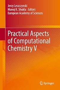 Practical Aspects of Computational Chemistry V -  - E-Book