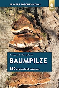 Baumpilze - Thomas L. Cech - E-Book