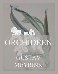 Orchideen - Gustav Meyrink - E-Book