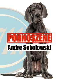 Pornoszene - Andre Sokolowski - E-Book