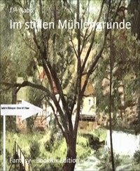Im stillen Mühlengrunde - J.P. Rabo - E-Book