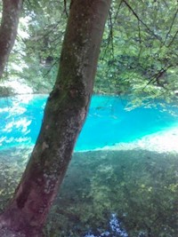 Der Wandel der Gesellschaft in der Zeit von 1900 bis 2018 - Maria Holzmann - E-Book