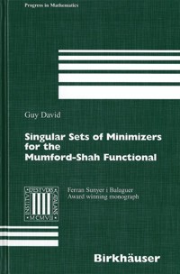 Singular Sets of Minimizers for the Mumford-Shah Functional - Guy David - E-Book