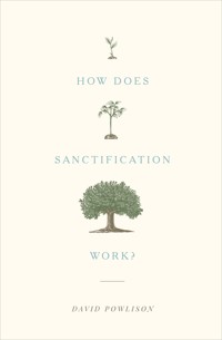 How Does Sanctification Work? - David Powlison - E-Book