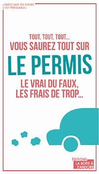 Vous saurez tout sur le permis - Nina Belile - E-Book