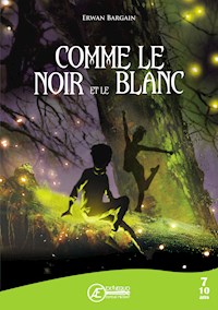 Comme le Noir et le Blanc - Erwan Bargain - E-Book