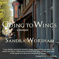 Going to Wings - Sandra Worsham - Hörbuch