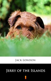 Jerry of the Islands - Jack  London - E-Book