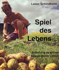 Spiel des Lebens - Lasse Merlin Schindhelm - E-Book