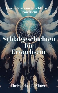 Schlafgeschichten für Erwachsene - Christopher T. Winters - E-Book