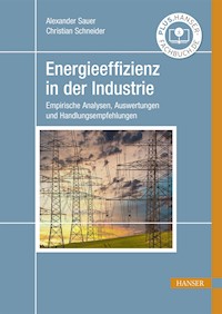 Energieeffizienz in der Industrie - Alexander Sauer - E-Book
