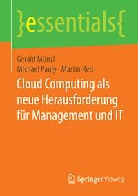 Cloud Computing als neue Herausforderung für Management und IT - Gerald Münzl - E-Book