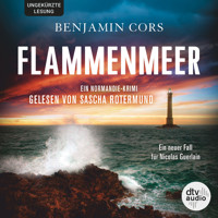 Flammenmeer - Benjamin Cors - E-Book + Hörbuch