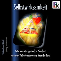 Selbstwirksamkeit - Michael von Känel - Hörbuch