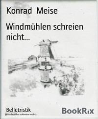 Windmühlen schreien nicht... - Konrad Meise - E-Book