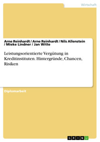 Leistungsorientierte Vergütung in Kreditinstituten. Hintergründe, Chancen, Risiken - Arne Reinhardt - E-Book