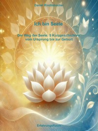 Ich bin Seele - Daniel Rindlisbacher - E-Book