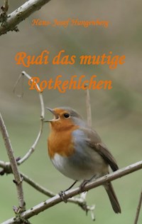 Rudi das mutige Rotkehlchen - Hans- Josef Hungenberg - E-Book