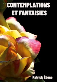 Contemplations et fantaisies - Patrick Edène - E-Book