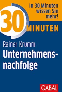30 Minuten Unternehmensnachfolge - Rainer Krumm - E-Book