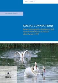 Social Connections - Veronika Žilová - E-Book