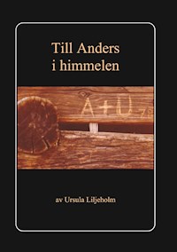 Till Anders i himmelen - Ursula Liljeholm - E-Book