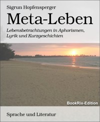 Meta-Leben - Sigrun Hopfensperger - E-Book