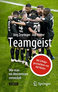 Teamgeist - Jörg Zeyringer - E-Book