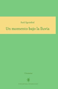 Un momento bajo la lluvia - Raúl Eguizábal - E-Book