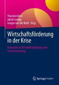Wirtschaftsförderung in der Krise -  - E-Book