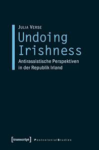 Undoing Irishness - Julia Verse - E-Book