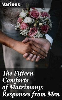 The Fifteen Comforts of Matrimony: Responses from Men - Various - E-Book