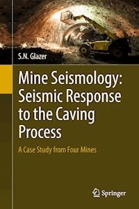 Mine Seismology: Seismic Response to the Caving Process - S.N. Glazer - E-Book