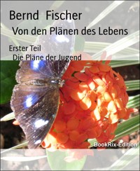 Von den Plänen des Lebens - Bernd Fischer - E-Book