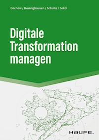 Digitale Transformation managen - Niels Dechow - E-Book