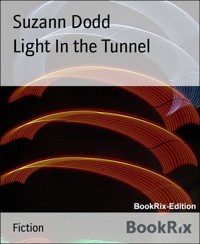 Light In the Tunnel - Suzann Dodd - E-Book