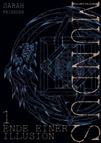 Ende einer Illusion - Sarah Frixeder - E-Book