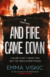 And Fire Came Down - Emma Viskic - E-Book