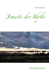 Jenseits der Idylle - Udo Schmidt - E-Book