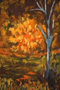 Ein Bild vom Wesen der Natur - John Collins - E-Book