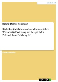 Risikokapital als Maßnahme der staatlichen Wirtschaftsförderung am Beispiel der Zukunft Land Salzburg AG - Roland Steiner-Holzmann - E-Book